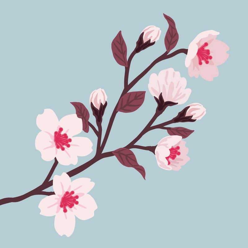 Lovely Layers: Cherry Blossom – Honey Cuts