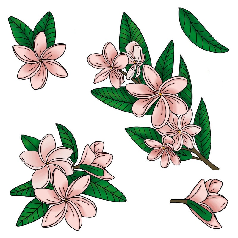 Paradise Plumeria – Set of 6 – 6×6 Coordinating Stencils