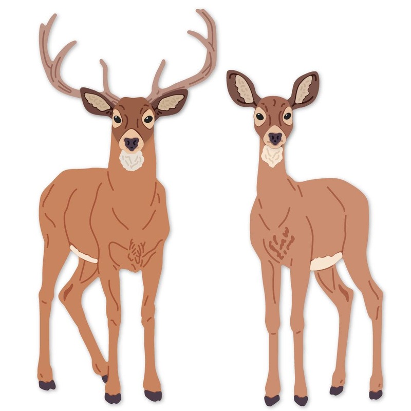 Lovely Layers: Deer – Honey Cuts