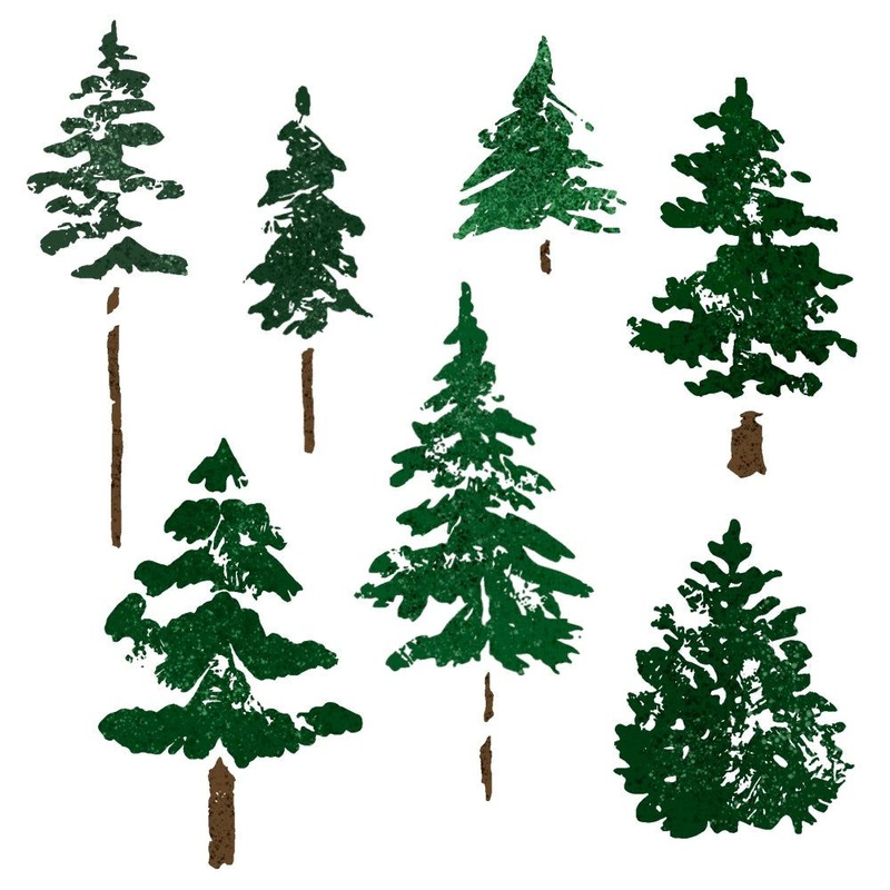 Watercolor Pines – 5×6 Stamp Set