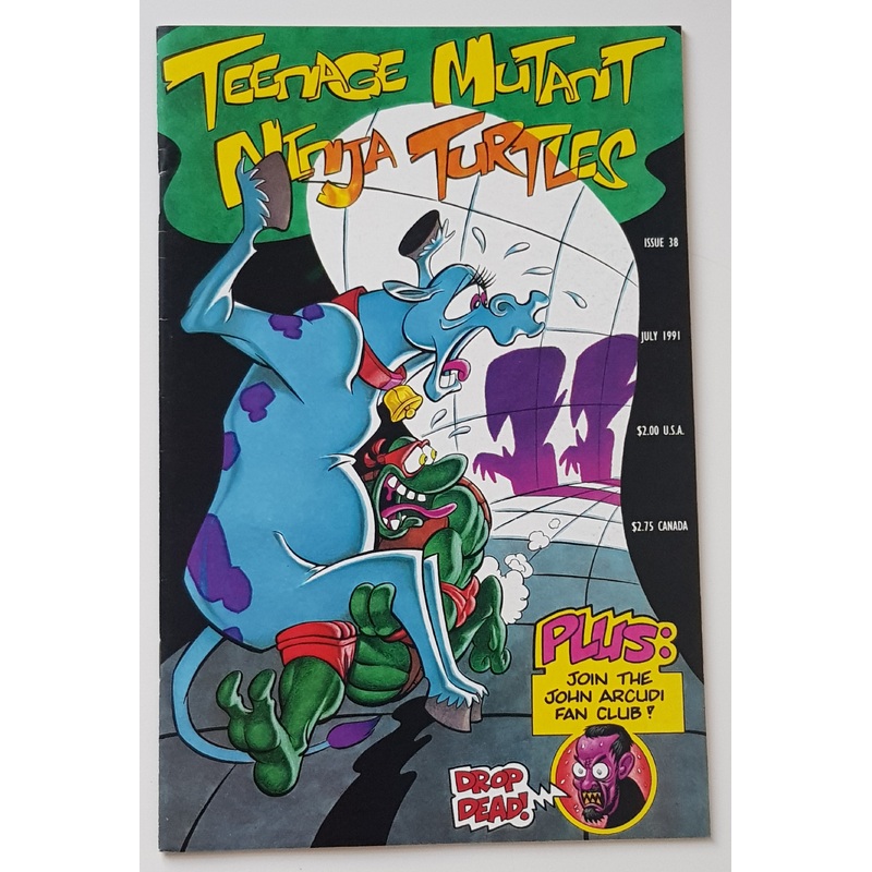 Teenage Mutant Ninja Turtles #38 VF+