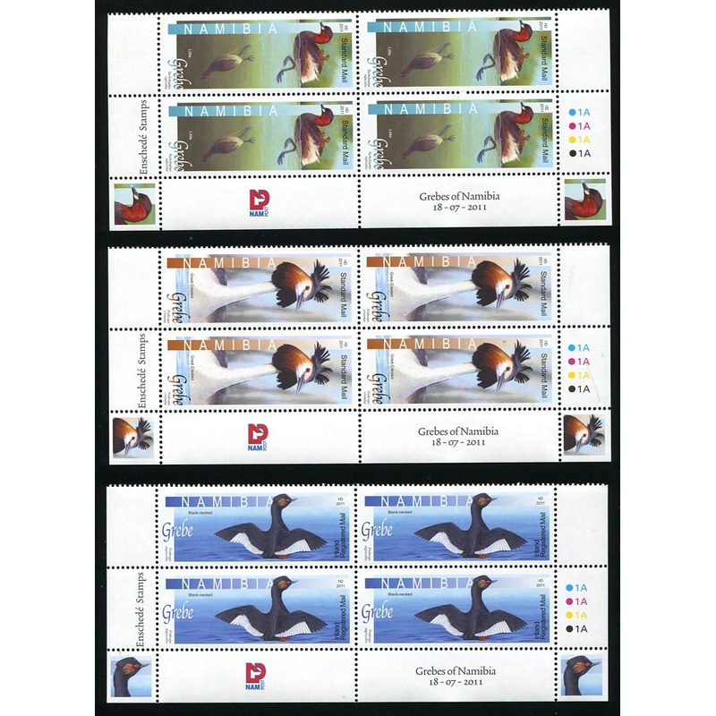2011 18 July. Grebes of Namibia – Control Block