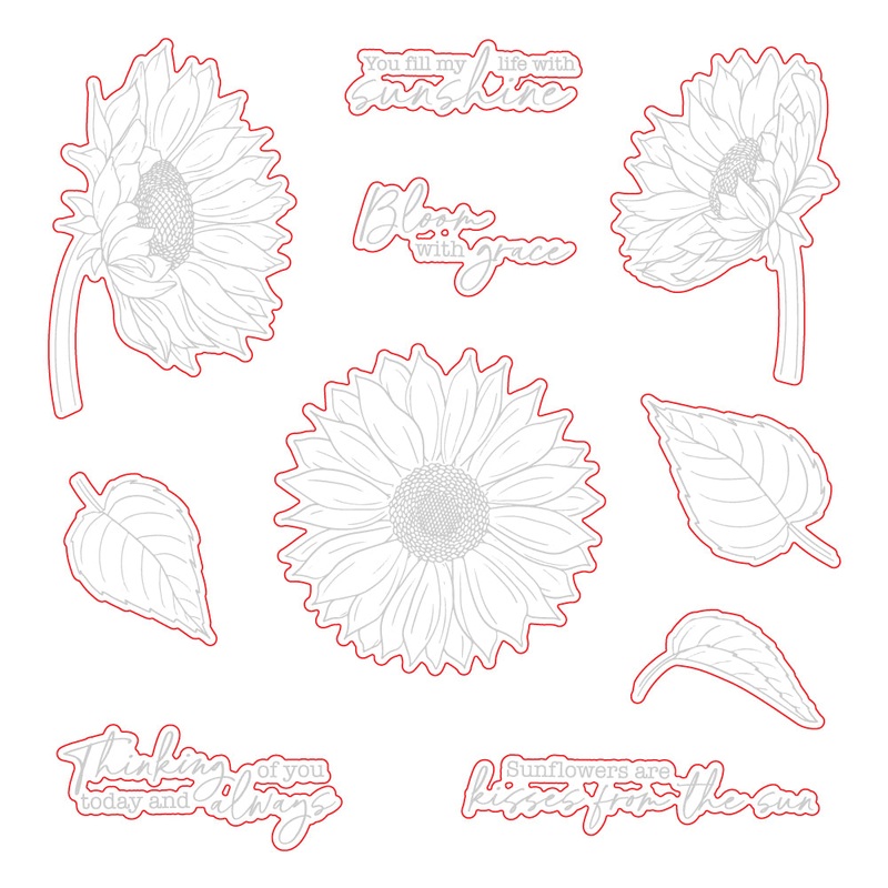 Bloom With Grace – Honey Cuts