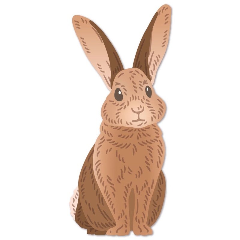 Lovely Layers: Rabbit – Honey Cuts