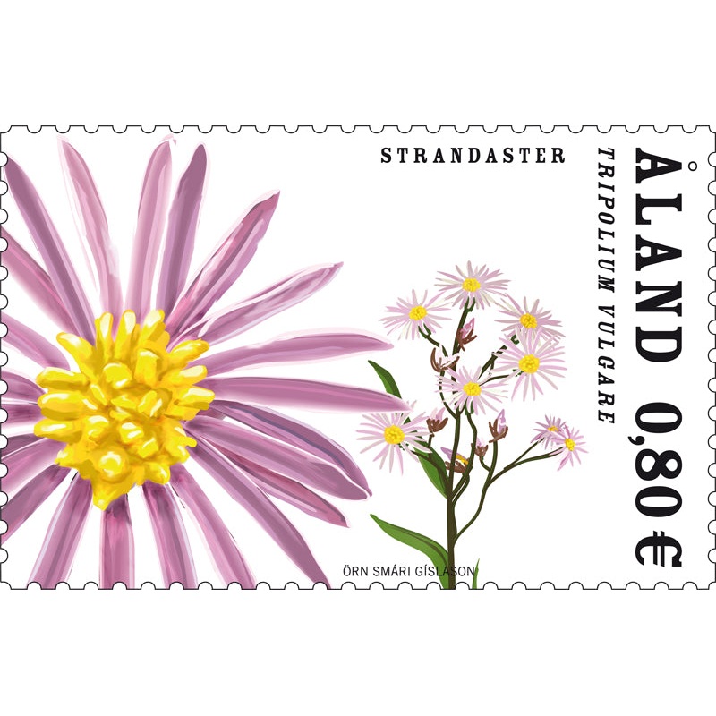 Strandaster -ostmplat|Frimrke|Gutterpar|Strip|Helark