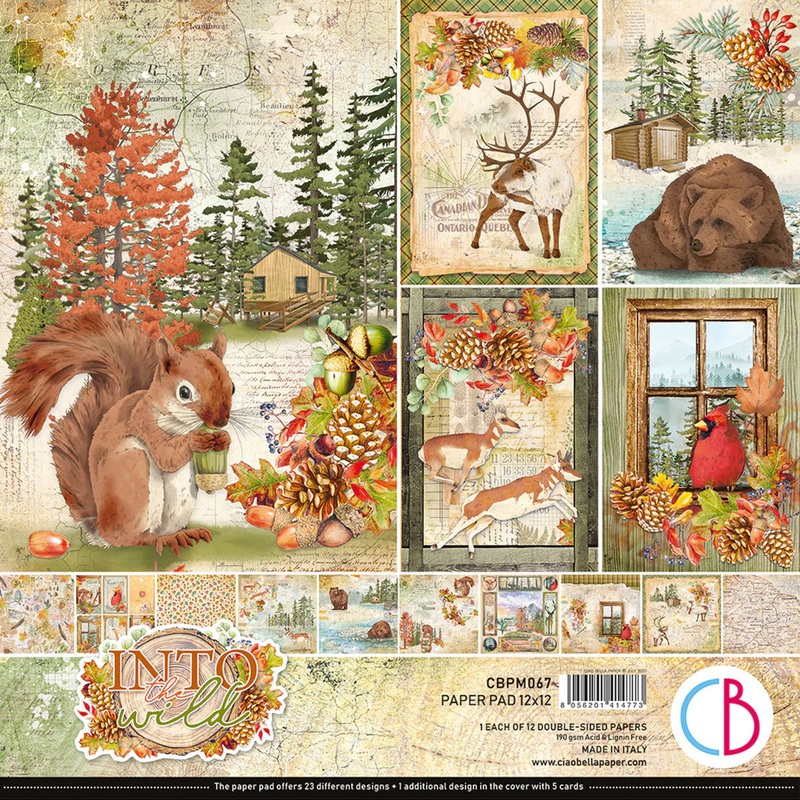 Ciao Bella Into The Wild Paper Pad 12×12 12/Pkg
