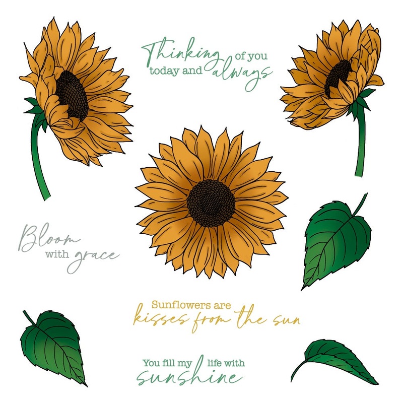 Bloom With Grace – 6×8 Stamp Set