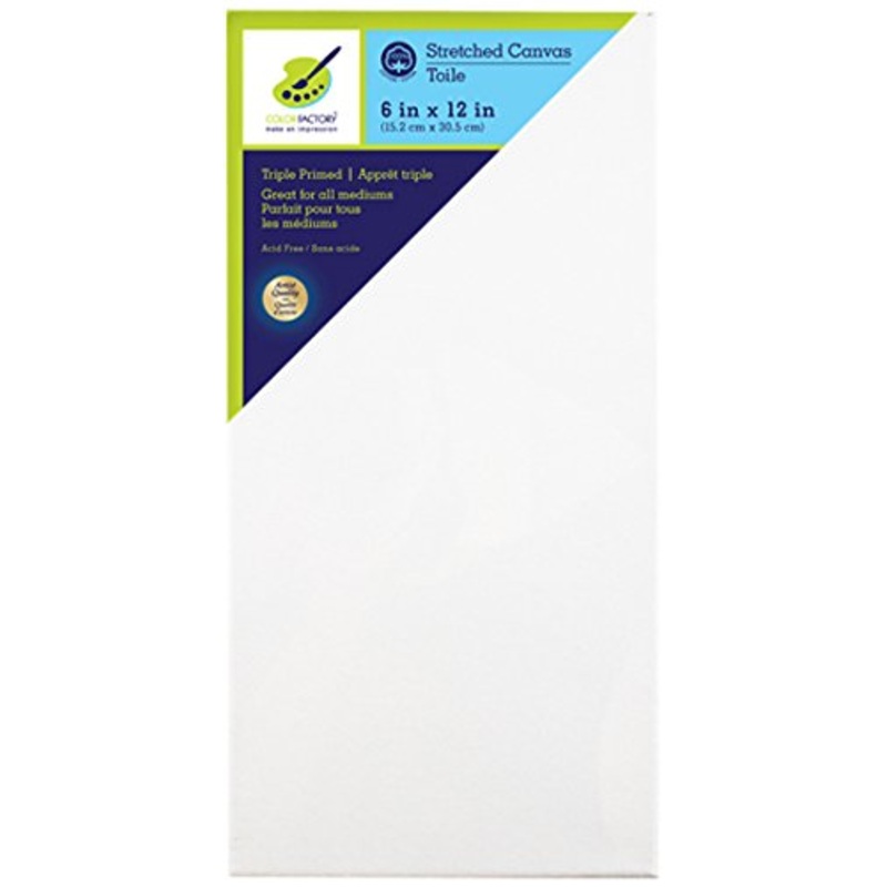 Color Factory Stretched Canvas 6 in x 12 in